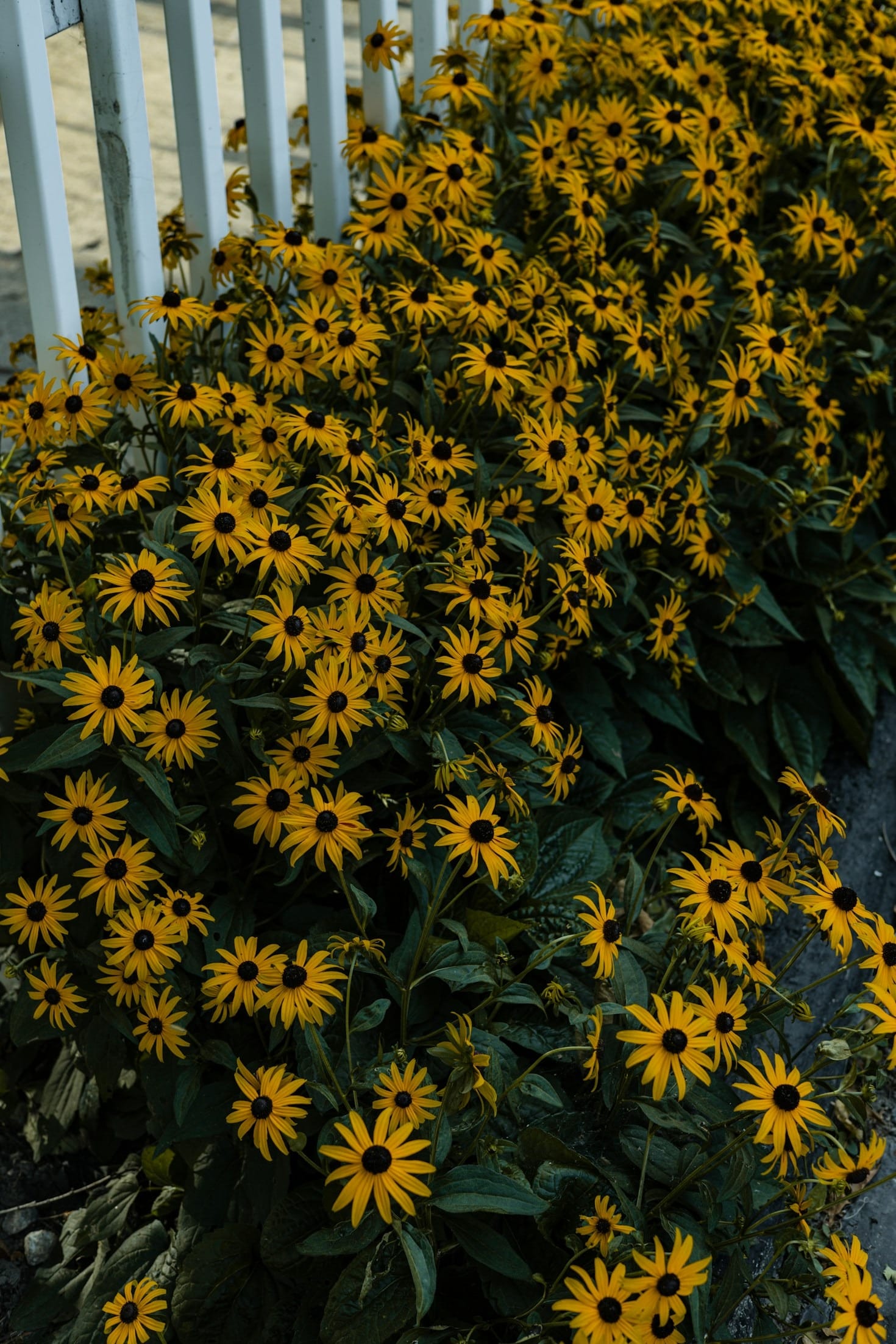 The Benefits of Artistic Landscaping for Your Home
