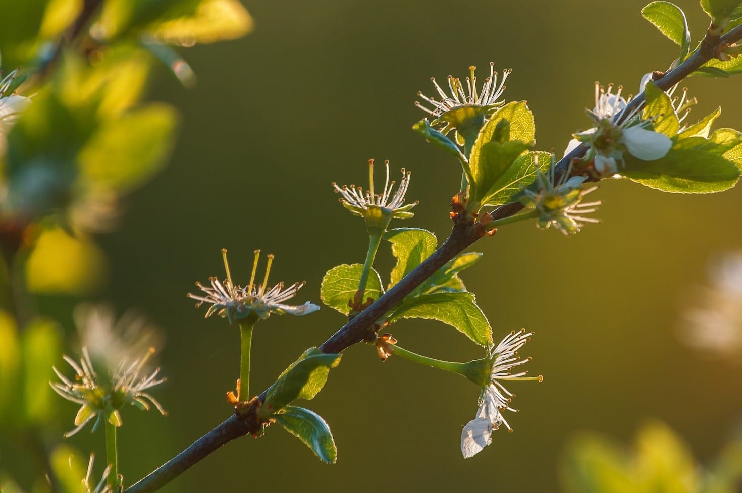 Top Tips for Designing a Beautiful Outdoor Space