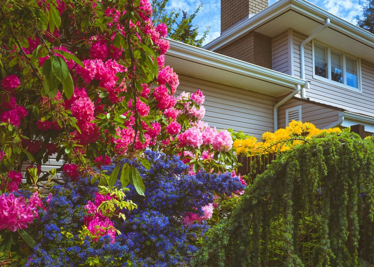 Inspiring Examples of Landscape Artistry