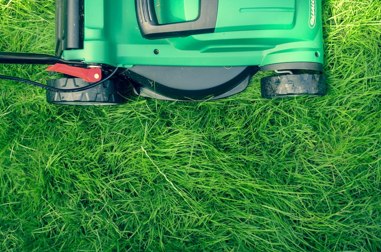 How Landscaping Enhances Your Curb Appeal